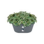 loft urban wandbak 40cm antraciet